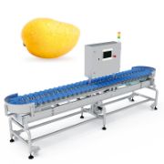 Automatic Ice Cube Packing Machine – Multiheaded Weigher