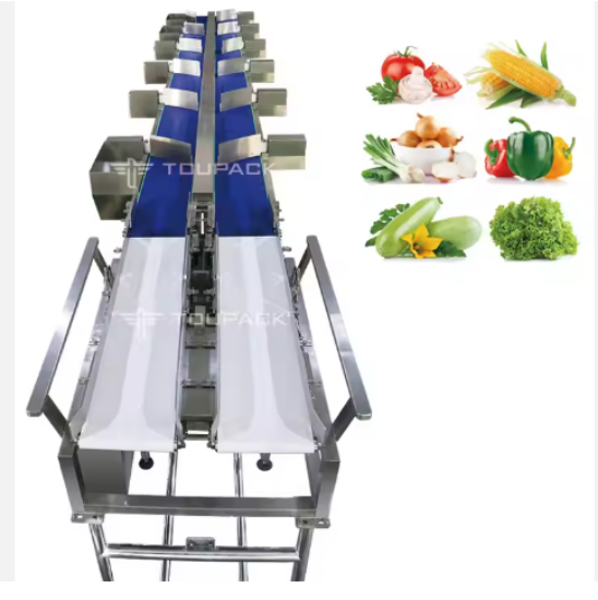 Fruit and Vegetable Grader Machine
