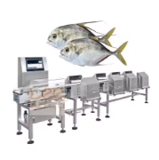 Fruit and Vegetable Grader Machine