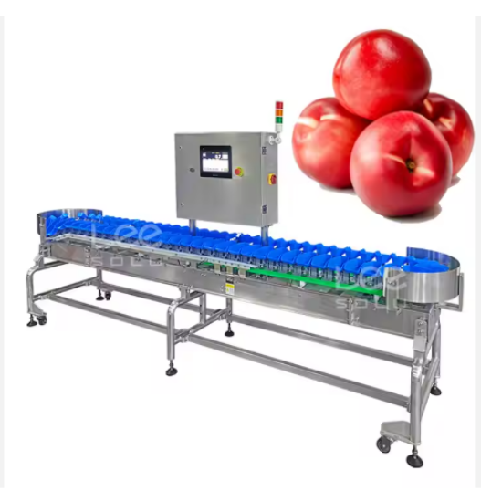 Fruit and Vegetable Grader Machine