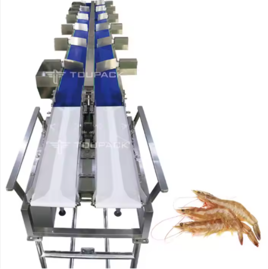 Fruit & Vegetable Weight Grader