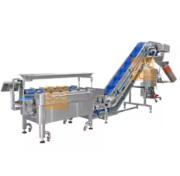 Semi-Automatic Net Bag Packaging Machine