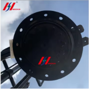 Rotary Motor Assembly