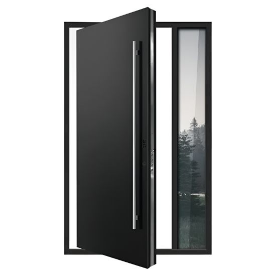 Modern Pivot Entry Door