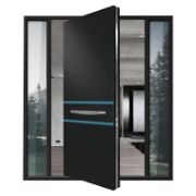 Modern Pivot Entry Door